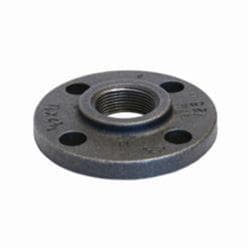 12 in Black Cast Iron Companion Flange