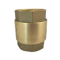 105-607G 1-1/2 in Brass Spring Check Valve