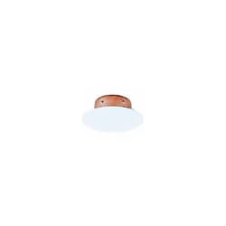 Victaulic® S3506A0040 V35 Cover Plate Subassembly