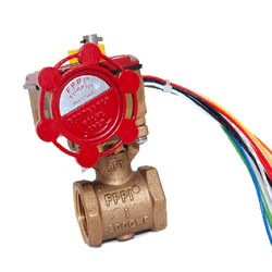 FPPI 06-504 2 in Butterfly Valve