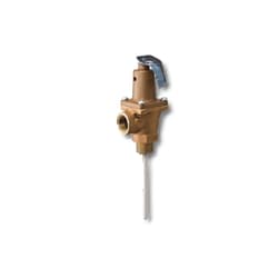 Lochinvar® 100277954 Temperature & Pressure Relief Valve
