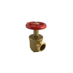 FPPI® 06-830-00 Angle Globe Valve, 2 in