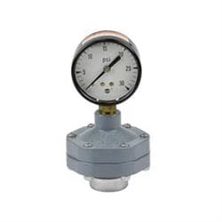 Pressure Gauge Guards & Isolators Image