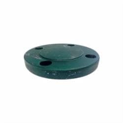 1 in 300Lb Standard Raised Slip-On Flange Gs