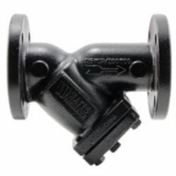 Watts® 0825205 6 in Wye Strainer 77F-Di-125