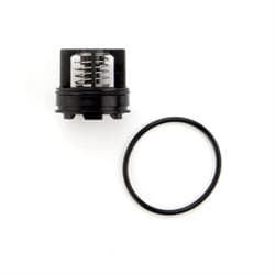 AMES by WATTS® 7016338 Second Check Kit, 3/4 in