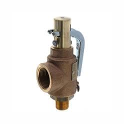 Apollo™ 29202A100 Safety Relief Valve, 1/2 x 1 in Nominal