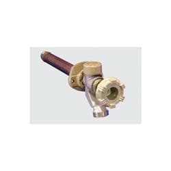 Woodford® 17Px3-8-Mh Anti-Siphon Wall Faucet