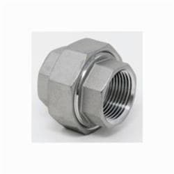2 in Stainless Steel 316L Union Gs