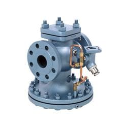 Watson Mcdaniel Hd-13-N Pressure Reducing Valve, 3/4 in