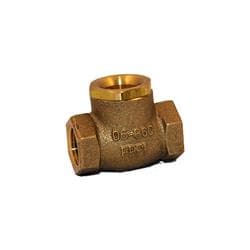 FPPI® 06-860-00 Swing Check Valve, 1/2 in