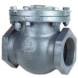 Nibco® Nle300D Swing Check Valve, 2 in
