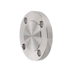 10 in Stainless Steel 150Lb 304L Blind Flange Gs
