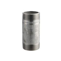 2 x 3 in Stainless Steel 316L Nipple Gs