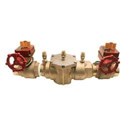 AMES by WATTS® 88007305 1 1/4 2000BM2-FP Straight Pattern Double Check Valve Assembly, 1-1/4 in