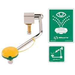 AXION® MSR 7610S Single Action Swing Down MSR Eye/Face Wash With Head