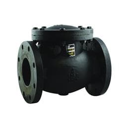 Apollo™ 6SC100B1LFA Lead Free Full Port Cast Iron Class 125 Swing Check Valve, 3 in Nominal