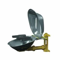 Bradley® Halo™ S19224DCFW Eye/Face Wash With Stainless Steel Bowl