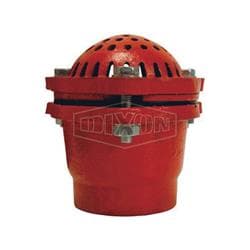 Dixon® DFVS35 Cast Iron Foot Valve, 3 in