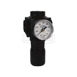 Norgren® by Dixon® Excelon® R74G-6R