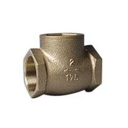 FPPI® 06-870-00 Swing Check Valve, 2 in