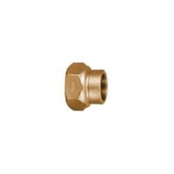 Ford C01-33-NL Adapter, 3/4 in Nominal