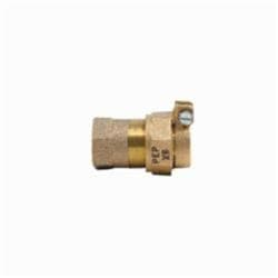 Ford C17-77-NL C17 Straight Coupling, 2 in Nominal