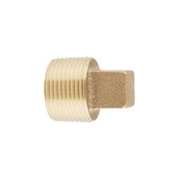 Ford CSP-3-I-NL Corp Stop Plug, 3/4 in Nominal