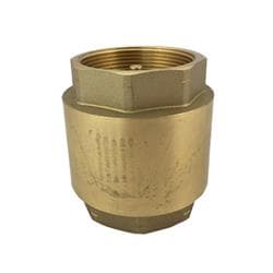105-608G 2 in Brass Spring Check Valve