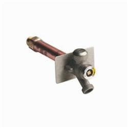 Smith® 5609Qt-12-Cp Wall Hydrant