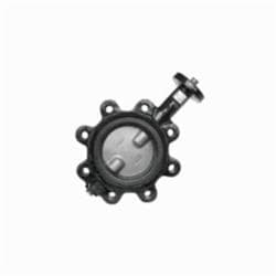 Jomar Valve® 600-16Dseb Butterfly Valve, 16 in