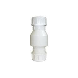 203-238 Swing Check Valve, 2 in, Pvc