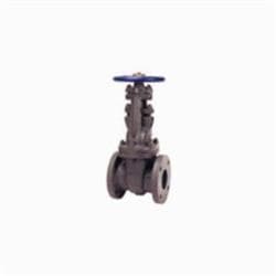 Nibco® NHA300E F617O Gate Valve