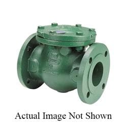 Nibco F938-31 Flanged Check Valve, 2-1/2 in