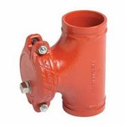 Victaulic® C024730PE9 Vic-Strainer® 730 Pipe Tee Strainer With Gasket, 2-1/2 in Nominal