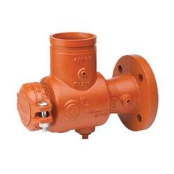 Victaulic® CD65731DEN 731-D Suction Diffuser With ANSI Class 150 Flange, 4 in Nominal