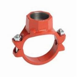 Victaulic® CE71920PE0 Mechanical-T® 920 Bolted Branch Outlet, 6 x 3 in Nominal