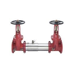 Watts® 0111522 Valve Assembly, 2-1/2 in