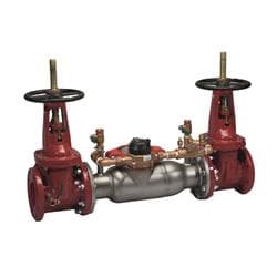 AMES by WATTS® 0690475 3000SS-OSY-GPM 2 1/2 Detector Assembly, 2-1/2 in