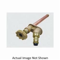 Woodford® 30C-14-Tk Backflow Protected Wall Faucet