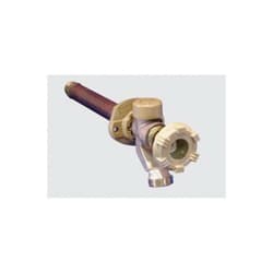Woodford® 17Px-6-Mh Anti-Siphon Wall Faucet