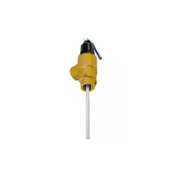 Lochinvar® 100278245 Temperature & Pressure Relief Valve