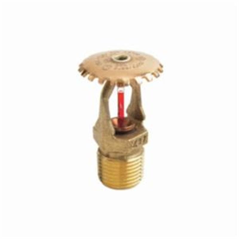 Product Alternate Image 1